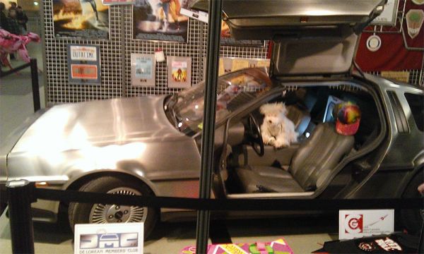 DeLorean avec la casquette de marty Mc Fly